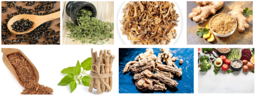 EchoXen Ingredients