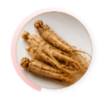 Panax Ginseng Extract